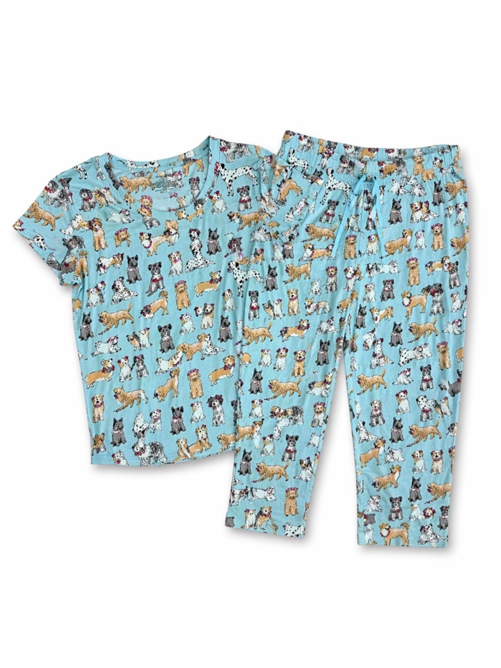 Sleep Sense Dog-Print Pajama Set Blue Lounge Set Small Cute Puppy Print
